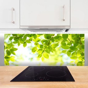 Szkło do Kuchni na Ścianę Świeże Zielone Liście