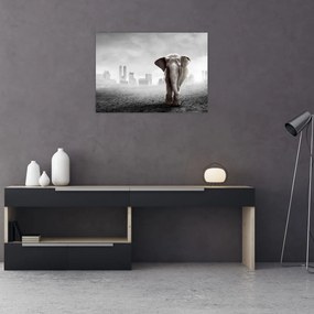 Obraz na szkle - Słonie w wielkim mieście, wersja czarno - biała (70x50 cm)
