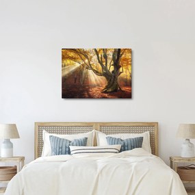 Obraz - Jesienny świt (70x50 cm)