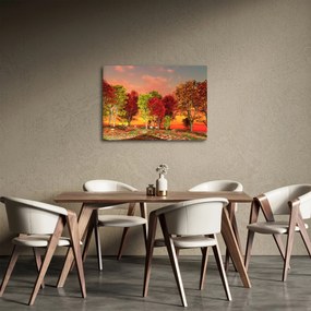 Obraz - Kolorowe drzewa (70x50 cm)