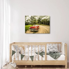 Obraz na szkle - zabytkowy samochód w przyrodzie (70x50 cm)
