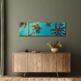 Obraz - Wysokie palmy (170x50 cm)