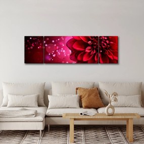 Obraz czerwonego kwiatu (170x50 cm)