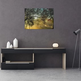Obraz na szkle - wschód słońca (70x50 cm)