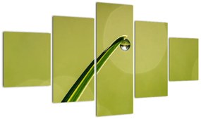 Obraz kropli wody na trawie (125x70 cm)