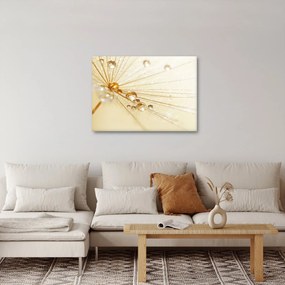 Obraz - Zdjęcie makro mniszka lekarskiego (70x50 cm)