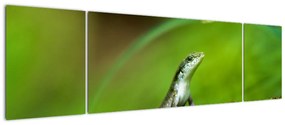 Obraz jaszczurki (170x50 cm)