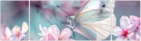 Obraz - Motyl na drzewie wiśni (170x50 cm)