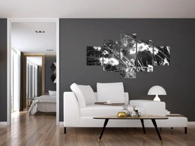 Obraz - Pajęczyna na łące (125x70 cm)