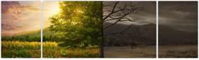 Obraz - Cykl życia (170x50 cm)