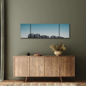 Obraz - Odejście słoni (170x50 cm)