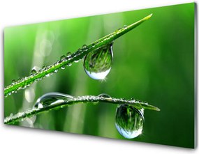 Panel Kuchenny Świeżość Porannej Trawy