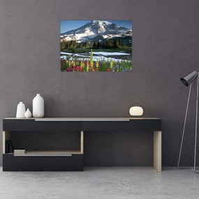 Obraz na szkle - Mount Rainier (70x50 cm)