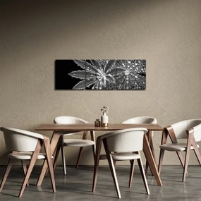 Obraz - Krople (z zegarem) (90x30 cm)