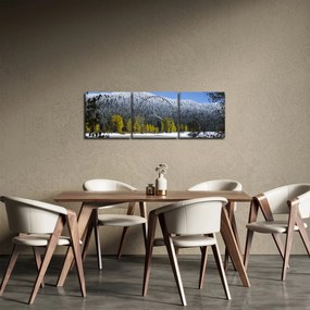 Obraz - ośnieżone góry zimą (z zegarem) (90x30 cm)