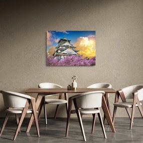 Obraz na szkle - Zamek Osaka (70x50 cm)