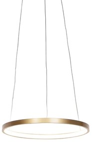 Nowoczesna lampa wisząca w kształcie pierścienia złota 40 cm z wbudowanym LED - Anella Nowoczesny Oswietlenie wewnetrzne