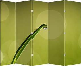 Parawan - Kropla wody na trawie (210x170 cm)