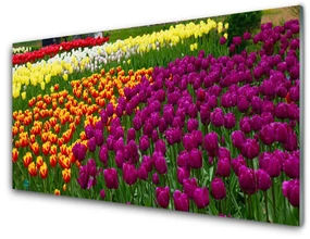 Panel Kuchenny Tulipany Kwiaty