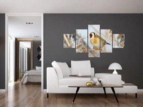 Obraz - Szczygieł (125x70 cm)