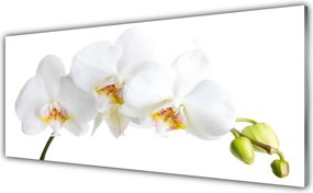 Panel Szklany Pastelowy Bukiet Botaniczny