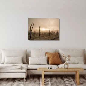 Obraz na szkle - Nagie drzewa (70x50 cm)