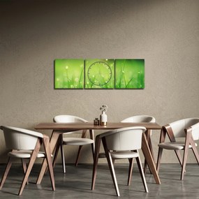 Obraz - rosa na trawie (z zegarem) (90x30 cm)