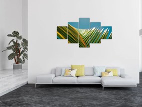 Obraz - Detal liścia palmowego (125x70 cm)