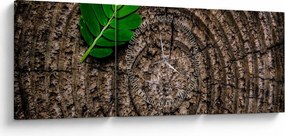 Obraz liścia na pniu drzewa (z zegarem) (90x30 cm)