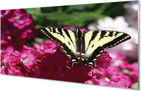 Panel Kuchenny Szklany Motyl na Łące Kwiatowej