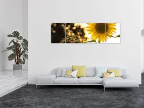 Obraz słonecznika (170x50 cm)