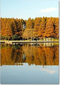 Foto obraz szkło hartowane pionowy Park jesienią