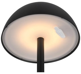 Lampa zewnętrzna ze ściemniaczem ø 13,5 cm Ricardo – Trio