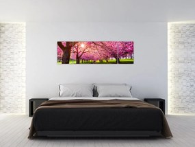 Obraz kwitnących czereśni, Hurd Park, Dover, New Jersey (170x50 cm)