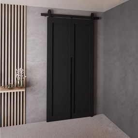 Drzwi Przesuwne QUDIO M1 Czarny 80