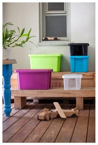 Niebieski pojemnik do przechowywania z pokrywą Curver Essentials, 45 l