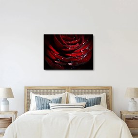 Obraz - Detal róży (70x50 cm)