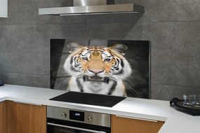 Panel szklany do Kuchni Tygrys Bengalski w Naturze