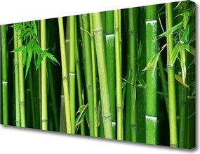 Obraz canvas Tajemniczy Las Bambusowy