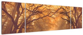 Obraz drogi w jesiennym krajobrazie (170x50 cm)