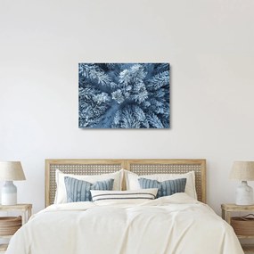 Obraz na szkle - Śnieżny las (70x50 cm)