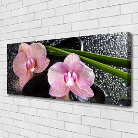 Obraz Canvas Kwiaty Orchidea Storczyk Zen