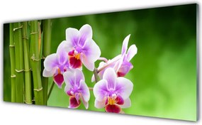 Szkło Dekoracyjne do Kuchni Spokój Natury: Bambus i Orchidea