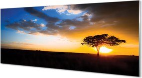 Panel szklany do Kuchni Samotne Drzewo pod Chmurami