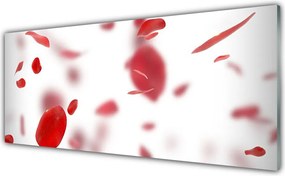 Panel Kuchenny Delikatność Płatków Róży