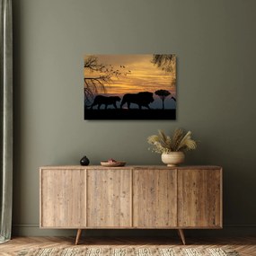 Obraz na szkle - Safari (70x50 cm)