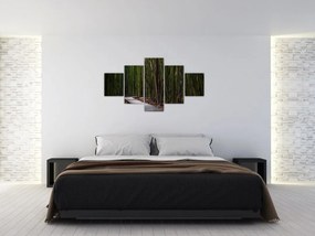 Obraz - Wśród bambusów (125x70 cm)