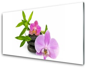 Panel Szklany Kwiat Orchidea Roślina