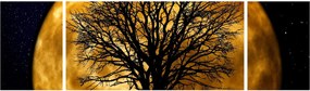 Obraz księżyca i sylwetki (170x50 cm)