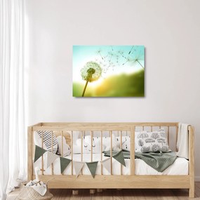 Obraz na szkle - Dmuchawiec na wietrze (70x50 cm)